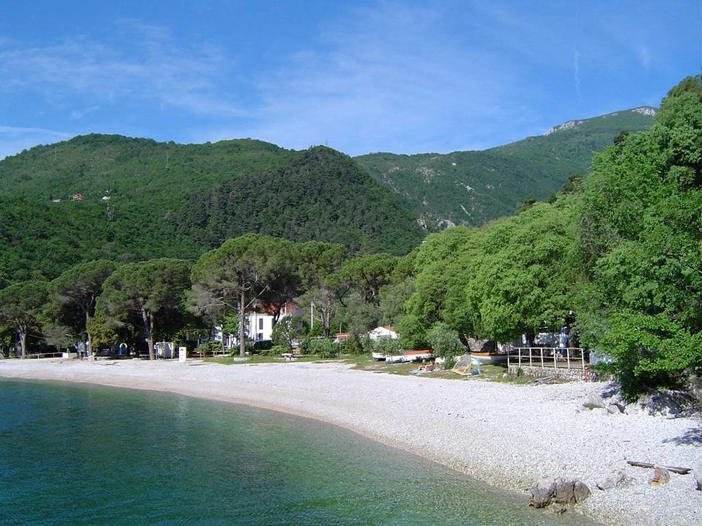 Apartment Zorka Medveja Bagian luar foto